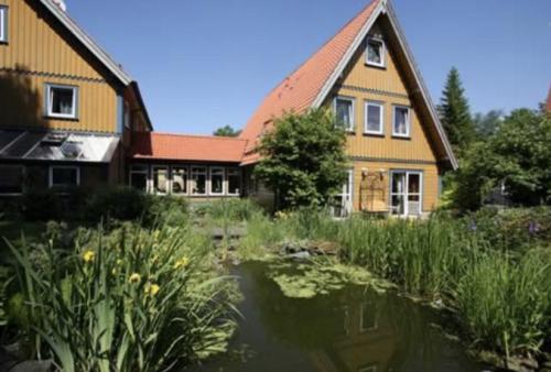 Hausseite Garten